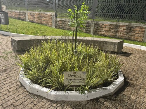 WhatsApp Image 2024-12-02 at 09.30.40